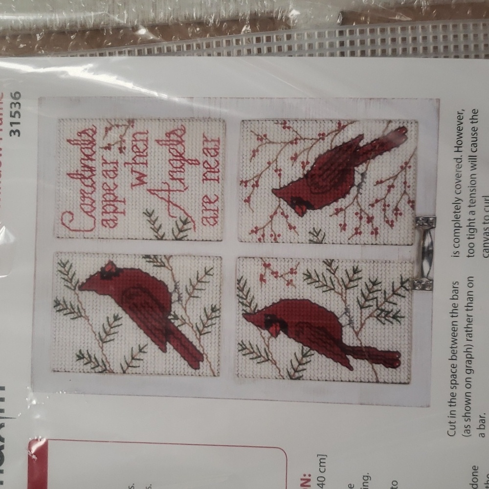 Plastic canvas kit